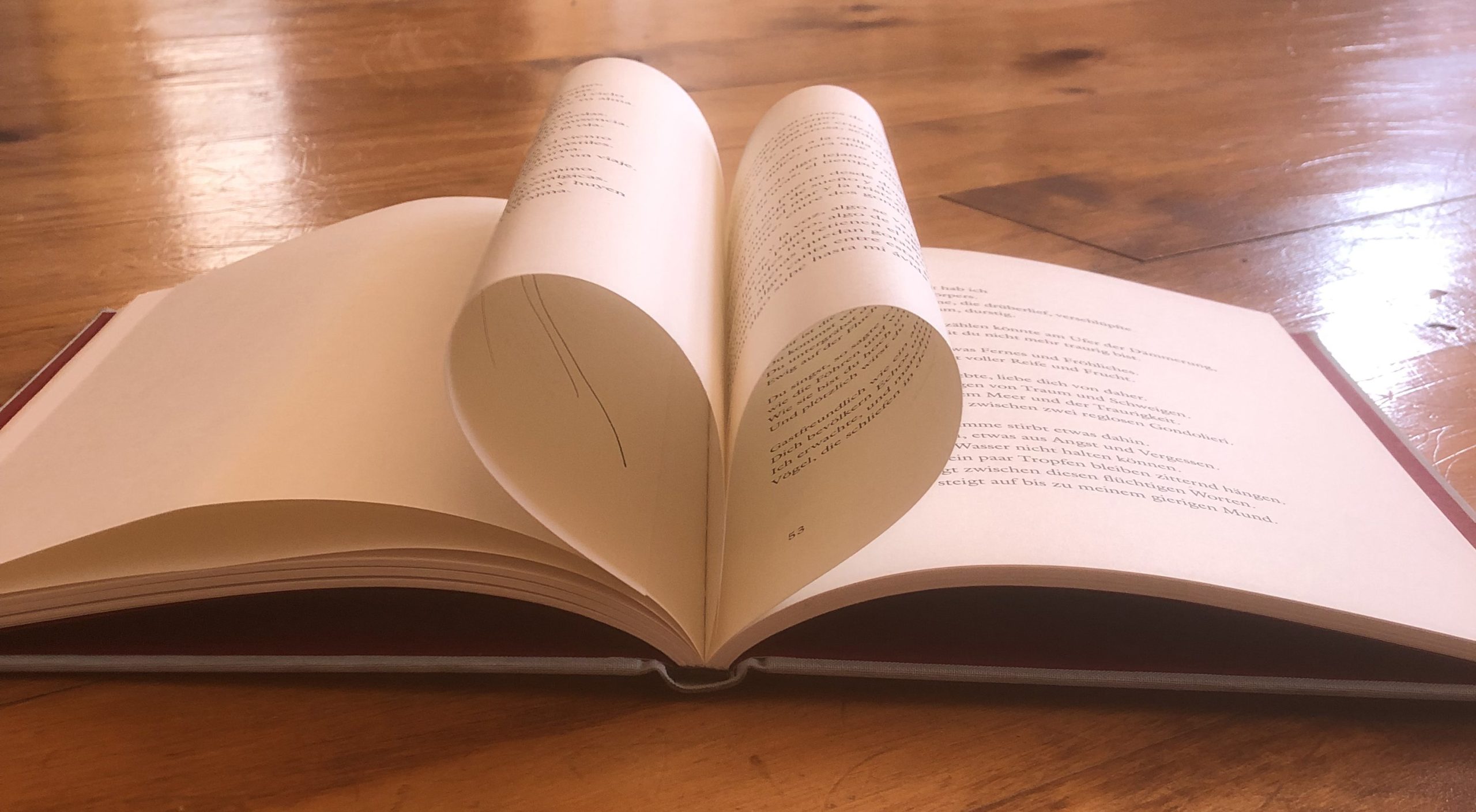 Libro corazón